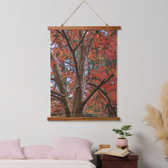 Japanese Stewartia with Colorful Autumn Leaves Hanging Tapestry (Bedroom)