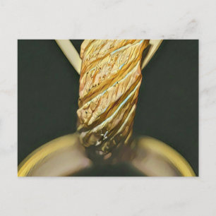 Japanese sushi lover postcard