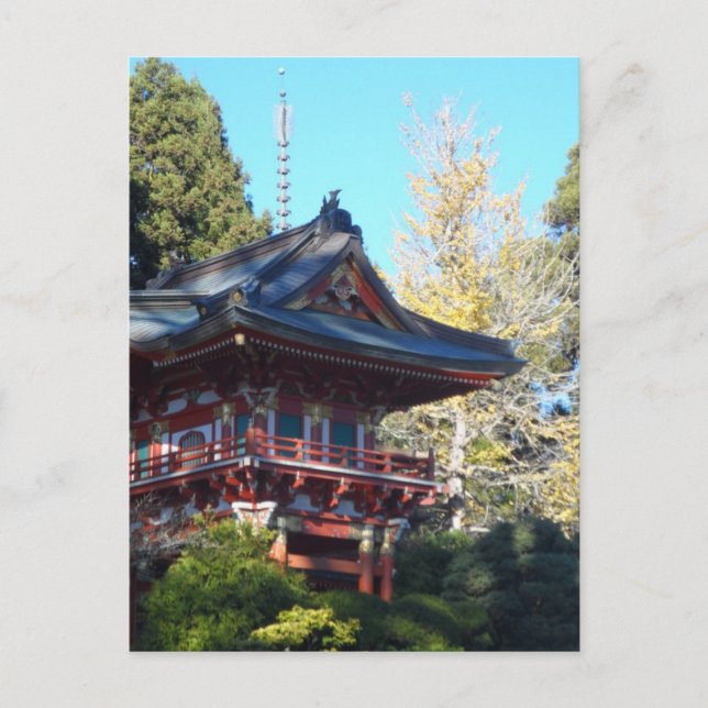 Japanese Tea Garden- San Francisco Postcard (Front)