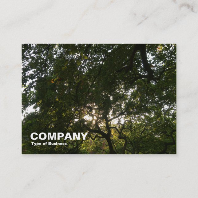 Japanese Trees 03 Business Card (Front)