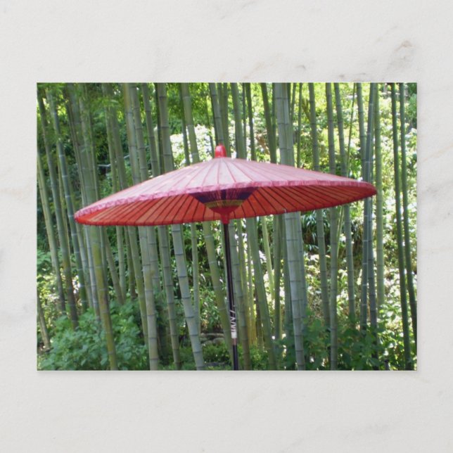 Japanese umbrella among the bamboo postcard (Front)
