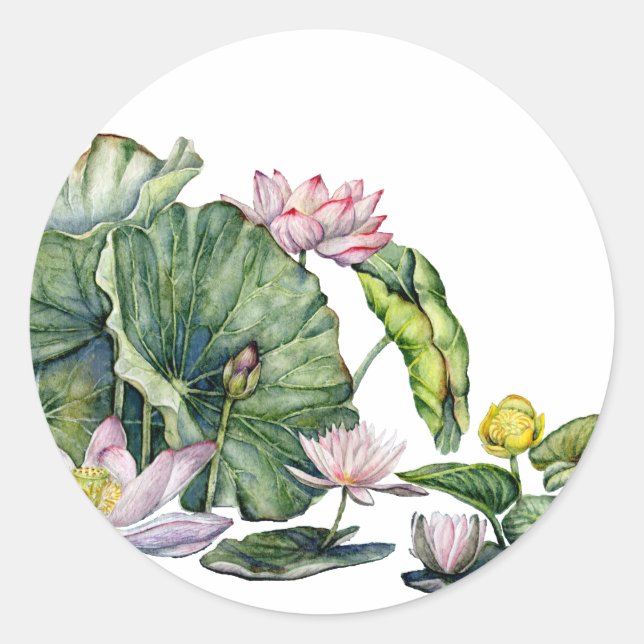 Japanese Water Lilies and Lotus Flowers Classic Round Sticker (Front)