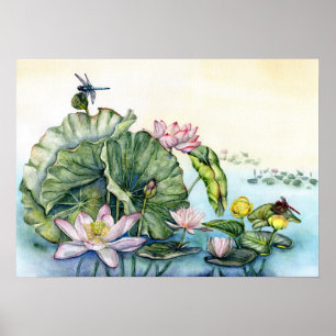 Japanese Water Lilies and Lotus Flowers Poster