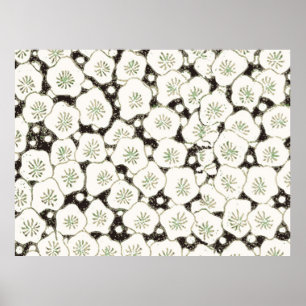 Japanese White Flower Antique Design Poster