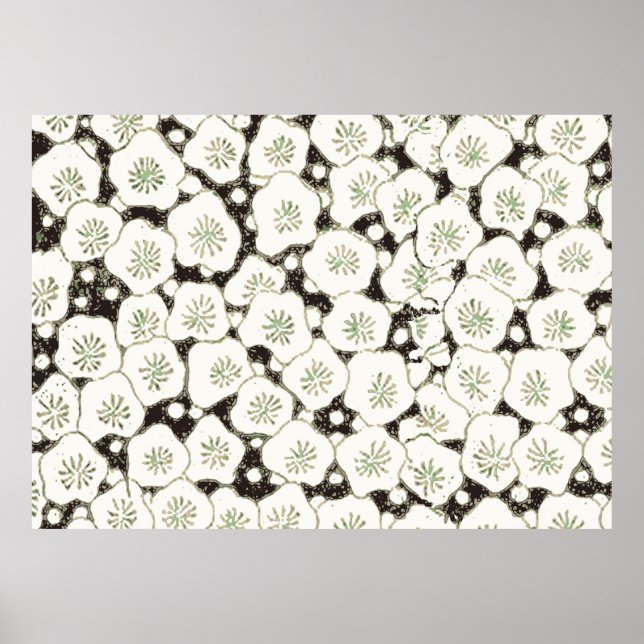 Japanese White Flower Antique Design Poster (Front)