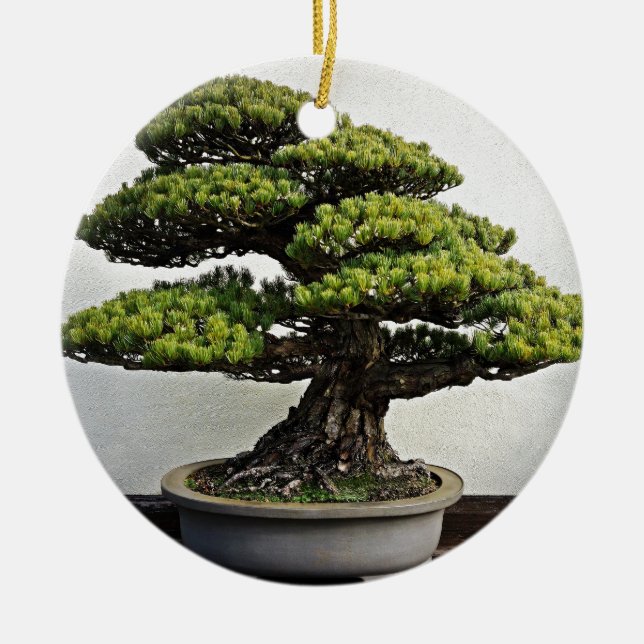 Japanese White Pine Bonsai Ceramic Ornament (Front)