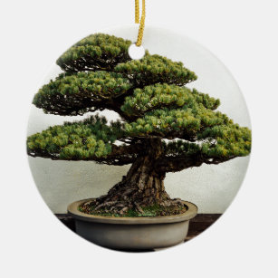 Japanese White Pine Bonsai Tree Ceramic Ornament