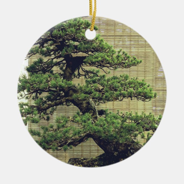 Japanese White Pine Bonsai Tree Photo Ceramic Ornament (Front)