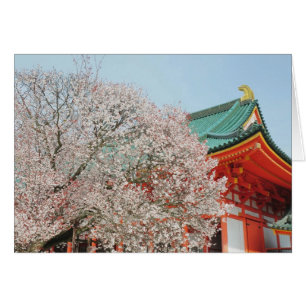 Japon, Kyoto. Fleur de cerisiers de Shinto