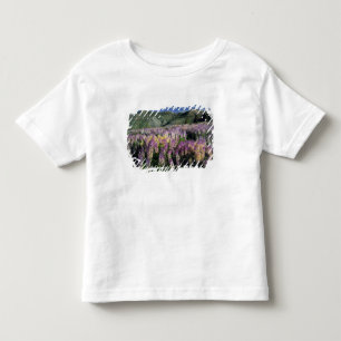 JARBIDGE WILDERNESS, NEVADA. USA. Spur lupine Toddler T-shirt
