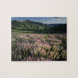 Jarbridge Wilderness and Mountains, Nevada, Spur Jigsaw Puzzle