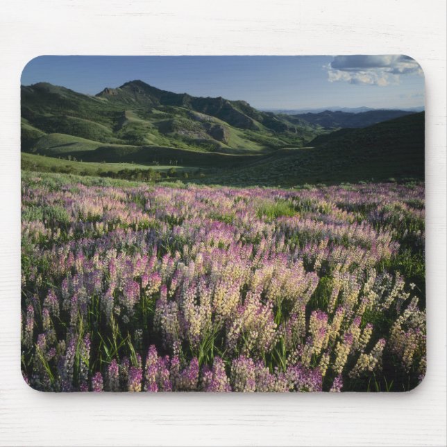Jarbridge Wilderness and Mountains, Nevada, Spur Mouse Pad (Front)