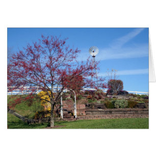 Jardin amish d'automne