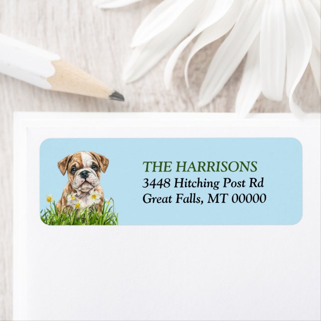 Jardin anglais Bulldog Puppy Daffodial (En situation)