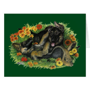 Jardin aux chiots