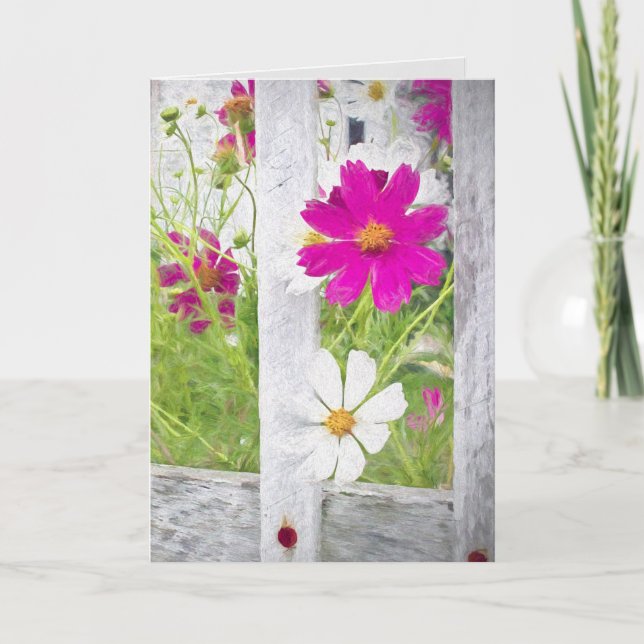 Jardin aux fleurs du Merci Cosmos (Devant)