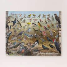 Jardin Birds of Alberta Puzzle