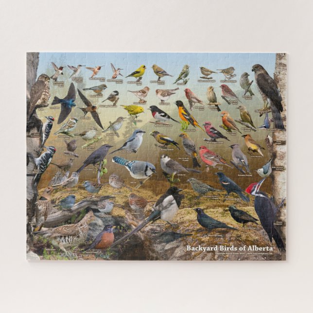 Jardin Birds of Alberta Puzzle (Horizontal)