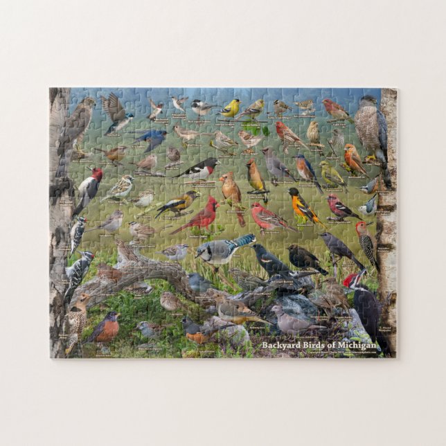 Jardin Birds of Michigan Puzzle (Horizontal)