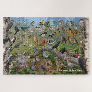 Jardin Birds of Ohio Puzzle
