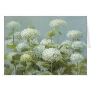 Jardin blanc d'hortensia