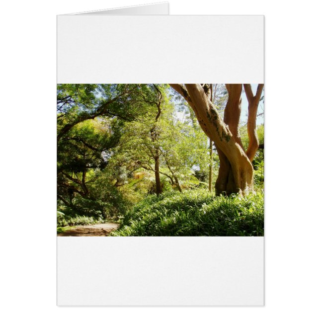 Jardin botanique de Wahiawa (Devant)