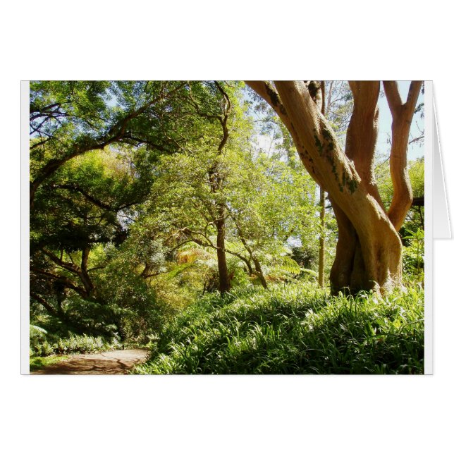 Jardin botanique de Wahiawa (Devant horizontal)