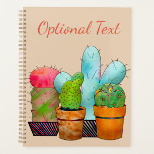 Jardin coloré de Cactus