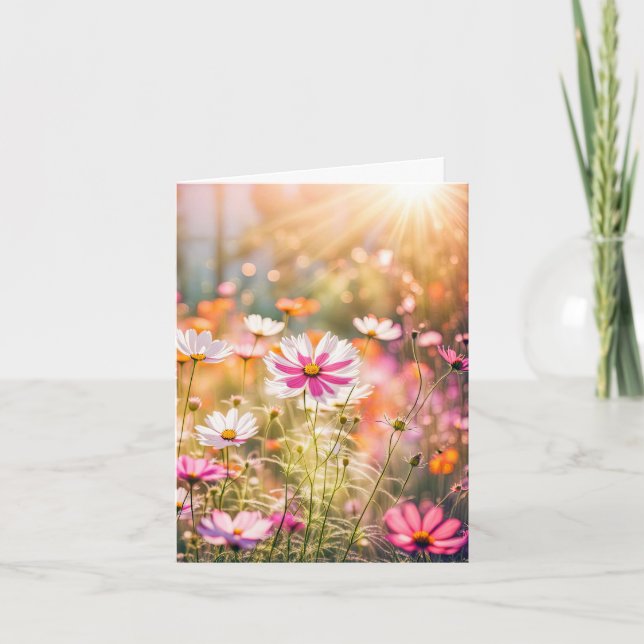 Jardin Cosmos Rose Pour Merci Sympathique (Devant)