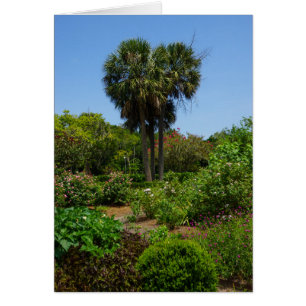Jardin de Boone Hall