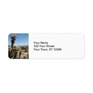 Jardin de Cholla - Joshua Tree