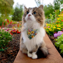 Jardin de fleurs