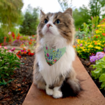 Jardin de fleurs