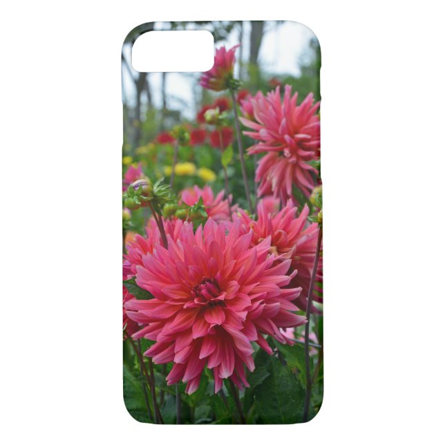Jardin de fleurs de dahlia rose coque iphone (Dos)
