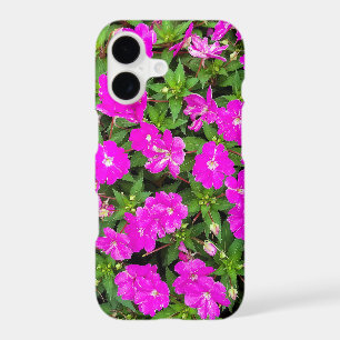 Jardin de fleurs d'impatiens roses