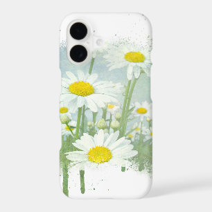 Jardin de marguerites blanches