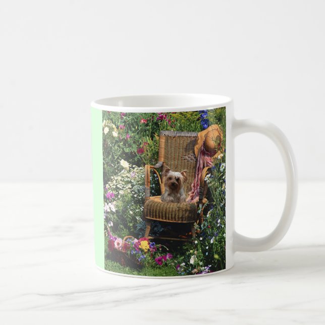 Jardin de tasse de Yorkshire Terrier (Droite)