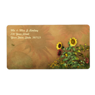 Jardin de tournesol 1