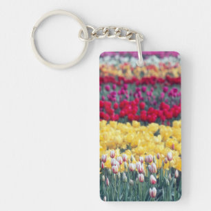 Jardin de tulipes dans la vallée de Skagit,