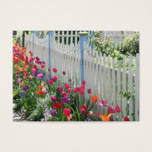 Jardin de tulipes le long de la clôture de pinces 