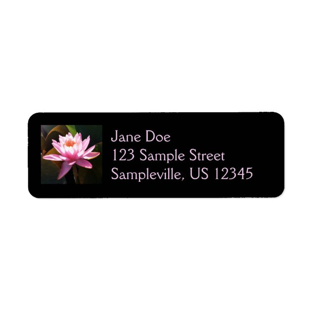 Jardin d'eau rose rose Nénuphar éclairé (Devant)