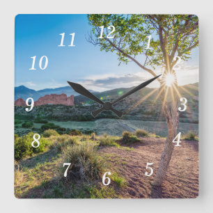 Jardin Des Dieux Arbre Sunburst Mur Horloge