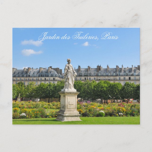 Jardin des Tuileries in Paris, France Postcard (Front)