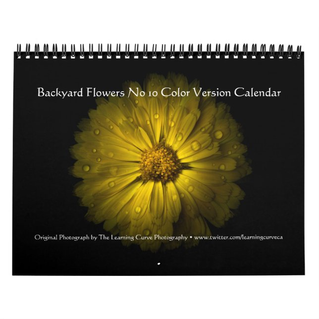 Jardin Fleurs No 10 Calendrier de version couleur (Protection)