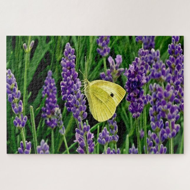 Jardin floral lavande avec papillon 1014 pc Puzzle (Horizontal)