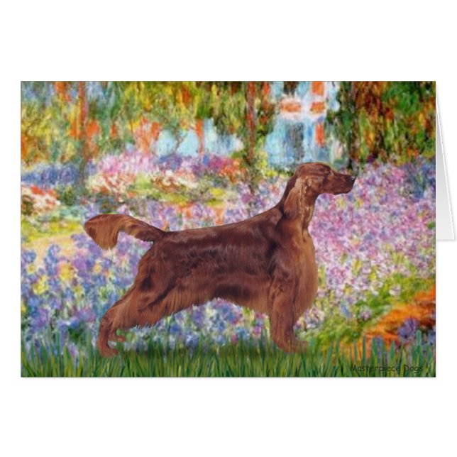 Jardin - Irish Setter 1 (Devant horizontal)