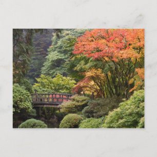 Jardin japonais en automne Carte postale