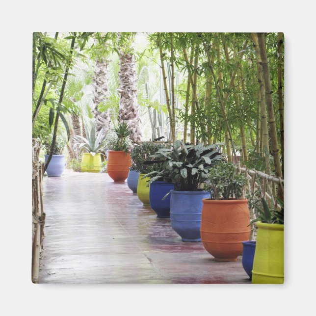 Jardin Majorelle, Majorelle Garden, now a public Magnet (Front)
