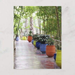 Jardin Majorelle, Majorelle Garden, now a public Postcard