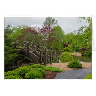 Jardin nuageux